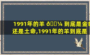 1991年的羊 🌼 到底是金命还是土命,1991年的羊到底是金命还是 🐠 土命